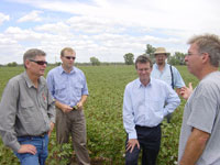 NARRABRI_COTTON_009_TN